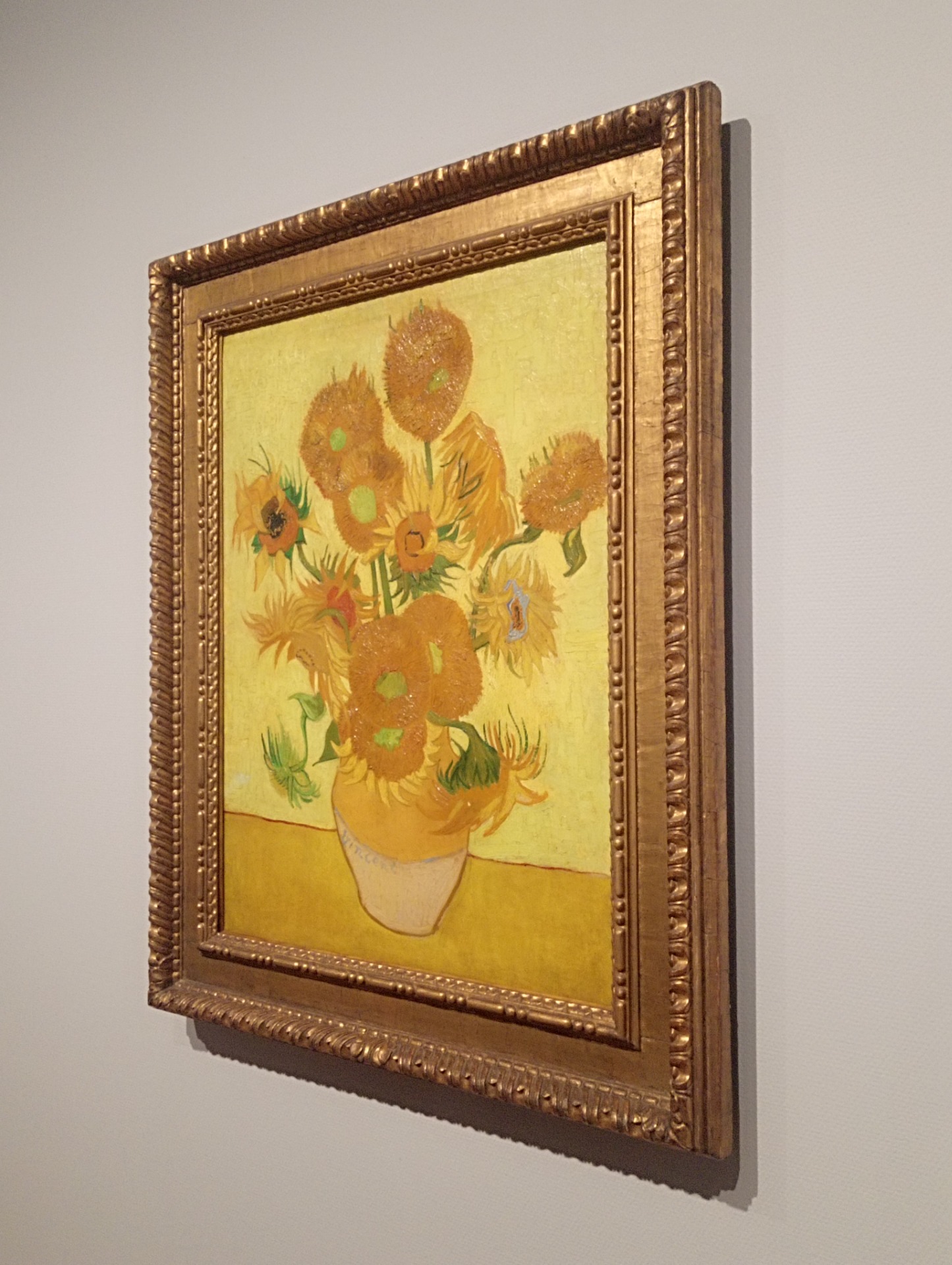 Slavné Slunečnice.